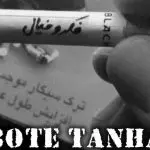 دانلود آهنگ بوته تنها 4 “ریمیکس رپی غمگین مخصوص پیاده روی تنهایی” از علی سورنا و یاس و هیچکس و حصین و مسلک و شایع و مهدیار و دانیال و نوید و سهراب ام جی